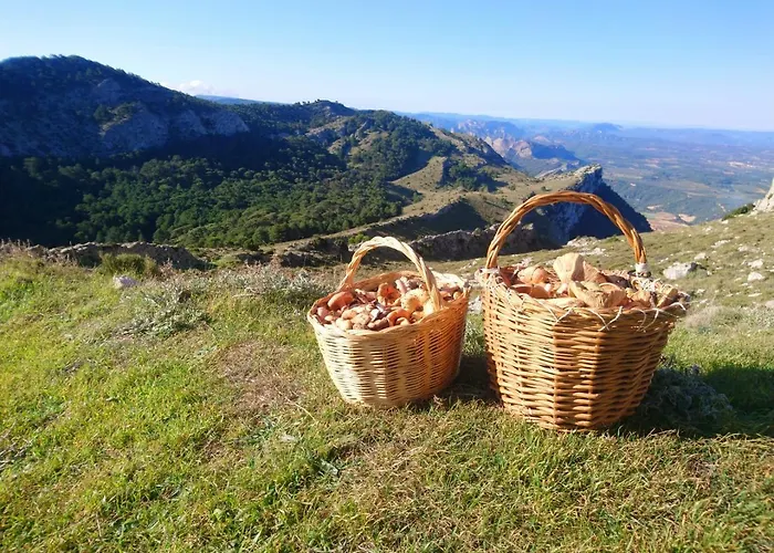 Casa vacanze Cal Vientos
