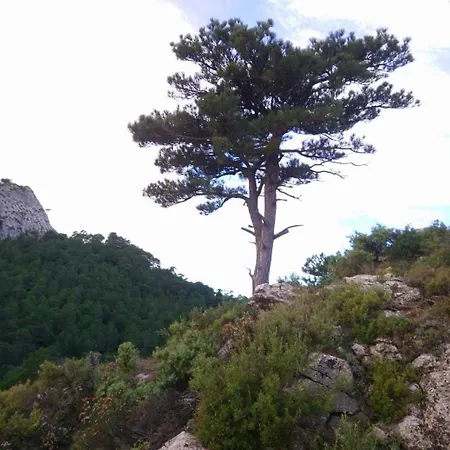 Cal Vientos Paúls